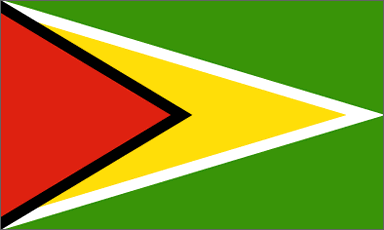Nation Flag of Guyana